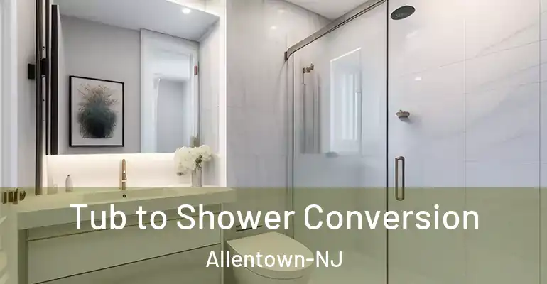 inner Bathroom imggen Tub to Shower Conversion Allentown-NJ