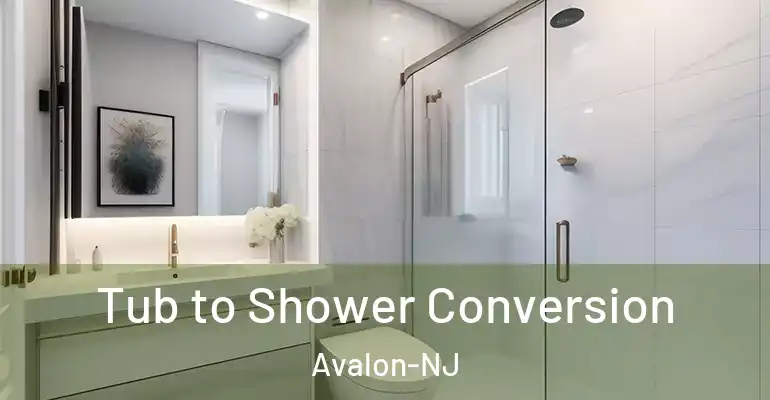 inner Bathroom imggen Tub to Shower Conversion Avalon-NJ