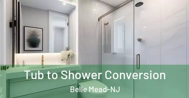 inner Bathroom imggen Tub to Shower Conversion Belle Mead-NJ