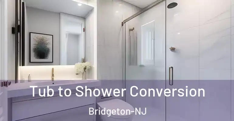 inner Bathroom imggen Tub to Shower Conversion Bridgeton-NJ
