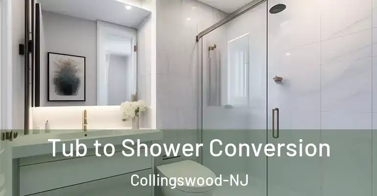 inner Bathroom imggen Tub to Shower Conversion Collingswood-NJ