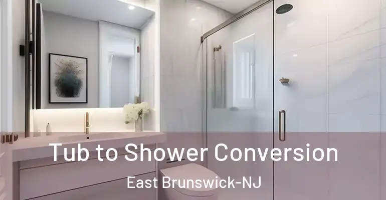 inner Bathroom imggen Tub to Shower Conversion East Brunswick-NJ