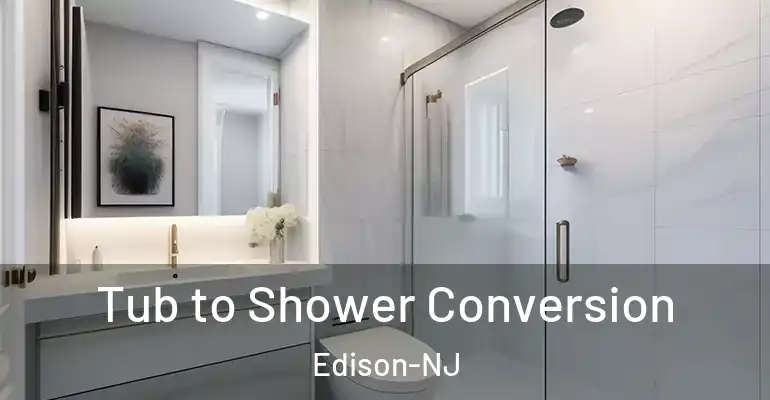 inner Bathroom imggen Tub to Shower Conversion Edison-NJ