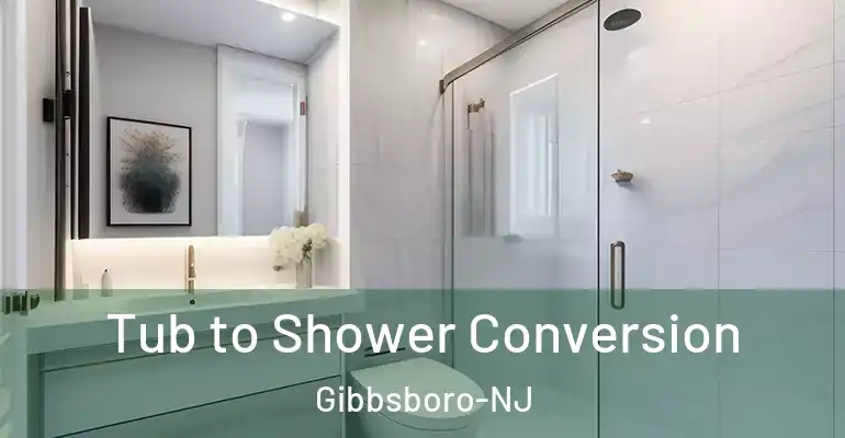 inner Bathroom imggen Tub to Shower Conversion Gibbsboro-NJ