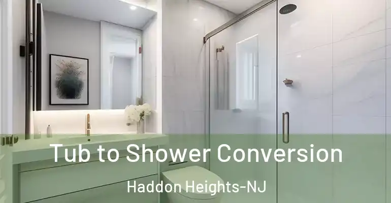 inner Bathroom imggen Tub to Shower Conversion Haddon Heights-NJ