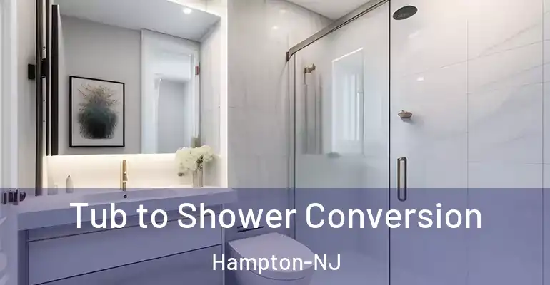 inner Bathroom imggen Tub to Shower Conversion Hampton-NJ
