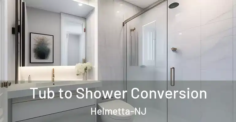 inner Bathroom imggen Tub to Shower Conversion Helmetta-NJ