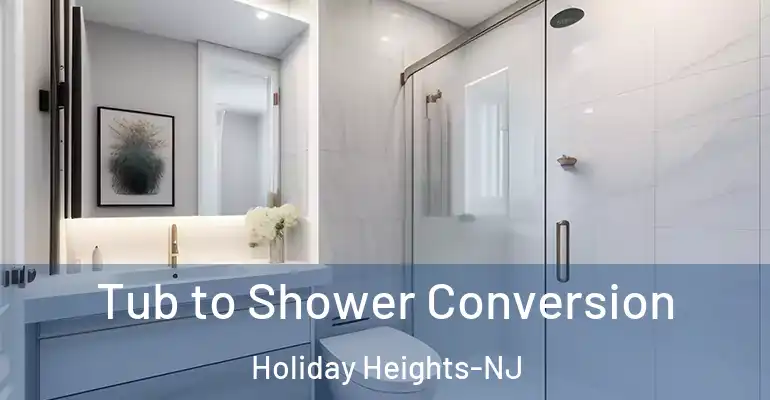inner Bathroom imggen Tub to Shower Conversion Holiday Heights-NJ