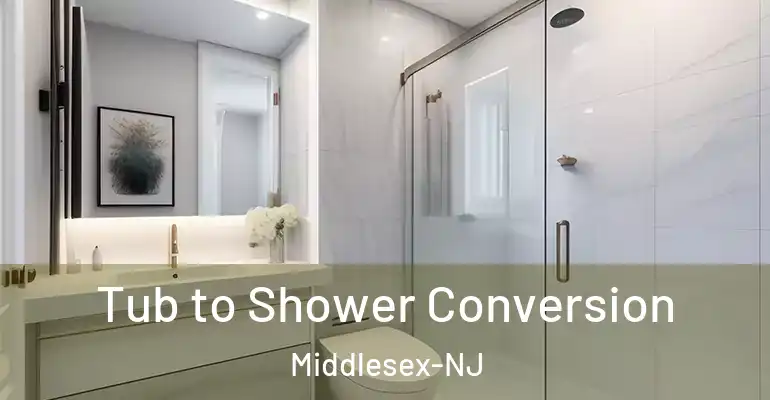 inner Bathroom imggen Tub to Shower Conversion Middlesex-NJ