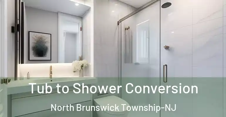 inner Bathroom imggen Tub to Shower Conversion North Brunswick Township-NJ