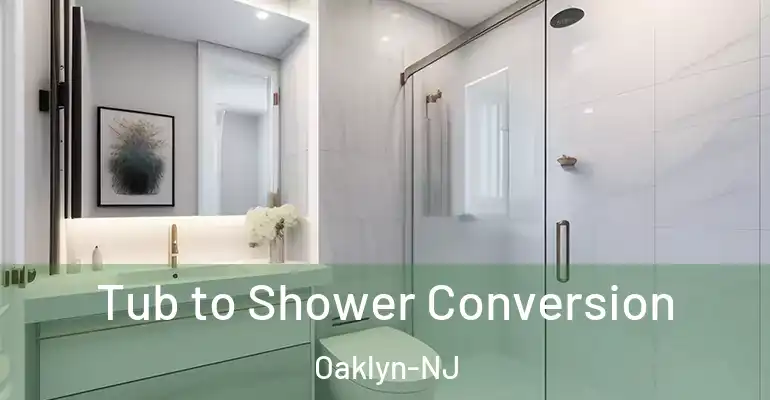inner Bathroom imggen Tub to Shower Conversion Oaklyn-NJ