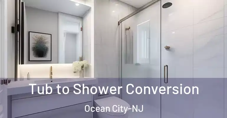 inner Bathroom imggen Tub to Shower Conversion Ocean City-NJ