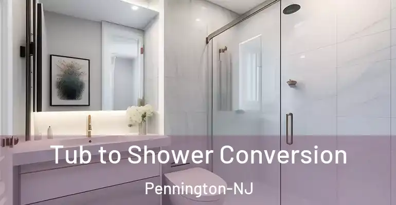 inner Bathroom imggen Tub to Shower Conversion Pennington-NJ