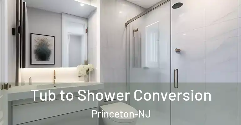 inner Bathroom imggen Tub to Shower Conversion Princeton-NJ
