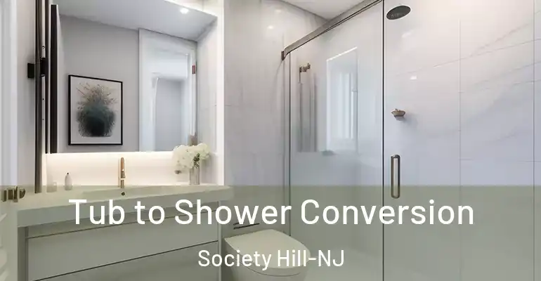 inner Bathroom imggen Tub to Shower Conversion Society Hill-NJ