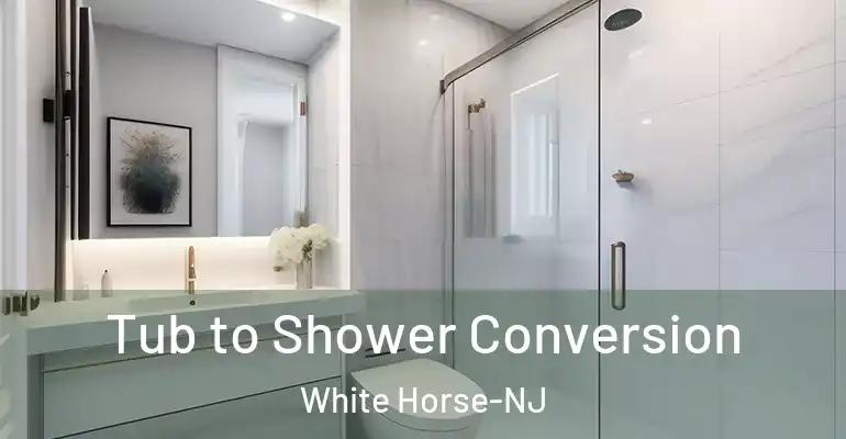 inner Bathroom imggen Tub to Shower Conversion White Horse-NJ
