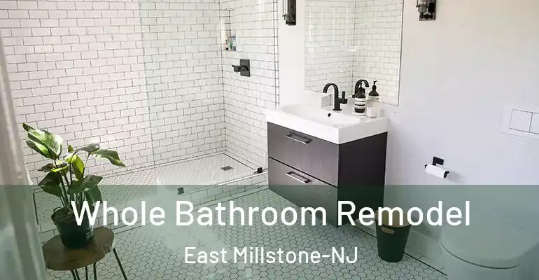 inner Bathroom imggen Whole Bathroom Remodel East Millstone-NJ