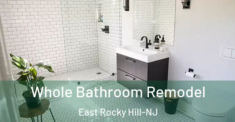 inner Bathroom imggen Whole Bathroom Remodel East Rocky Hill-NJ