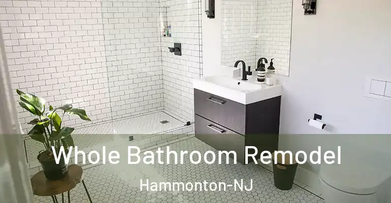 inner Bathroom imggen Whole Bathroom Remodel Hammonton-NJ