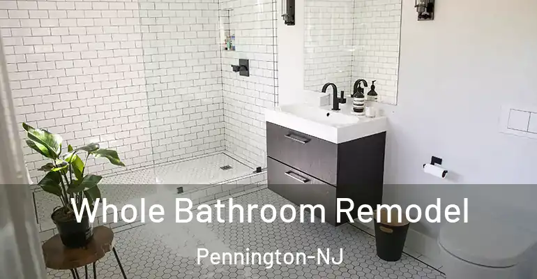 inner Bathroom imggen Whole Bathroom Remodel Pennington-NJ