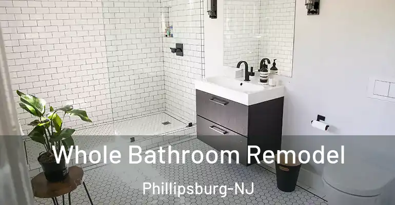 inner Bathroom imggen Whole Bathroom Remodel Phillipsburg-NJ