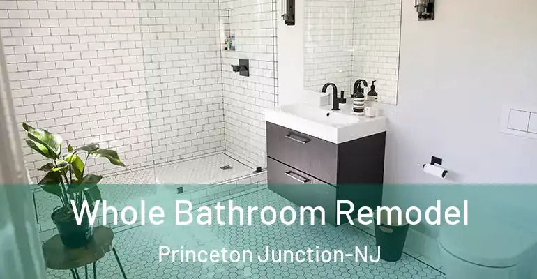 inner Bathroom imggen Whole Bathroom Remodel Princeton Junction-NJ