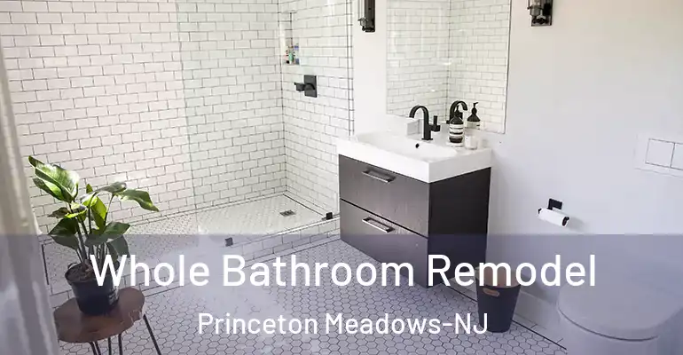 inner Bathroom imggen Whole Bathroom Remodel Princeton Meadows-NJ