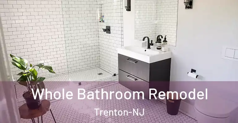 inner Bathroom imggen Whole Bathroom Remodel Trenton-NJ